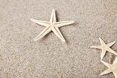 洗脑儿歌改编游戏《鲨鱼宝宝：歌唱游泳派对》发布